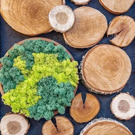 Mountain - In And Out - Free Apartament Bansko