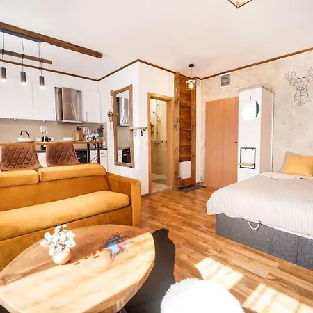 Apartament Mountain - In And Out - Free *
