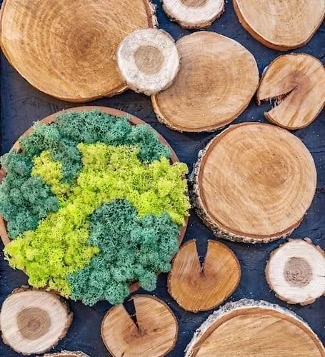 Mountain - In And Out - Free Lejlighed Bansko