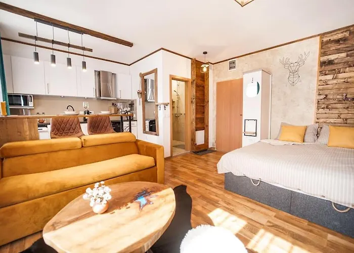 Lejlighed Mountain - In And Out - Free *